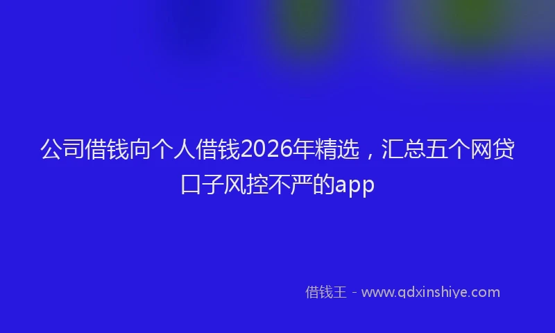 公司借钱向个人借钱2026年精选，汇总五个网贷口子风控不严的app