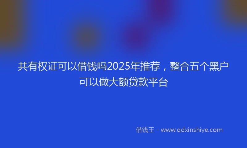 共有权证可以借钱吗2025年推荐,整合五个黑户可以做大额贷款平台