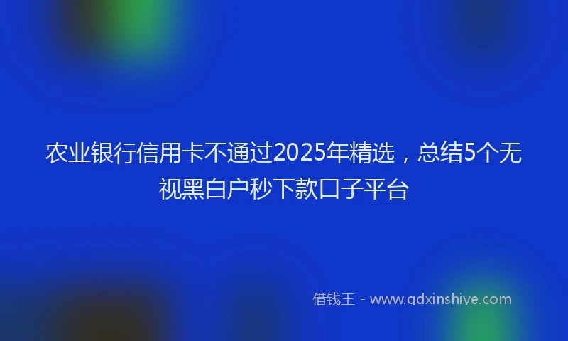 农业银行信用卡不通过2025年精选，总结5个无视黑白户秒下款口子平台