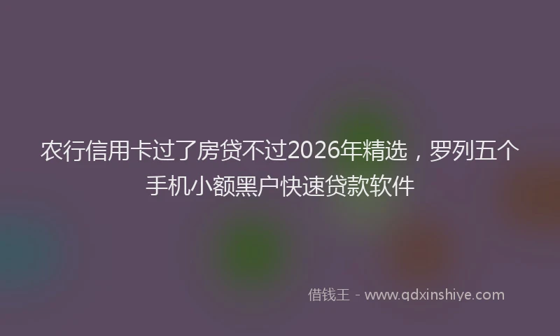 农行信用卡过了房贷不过2026年精选，罗列五个手机小额黑户快速贷款软件