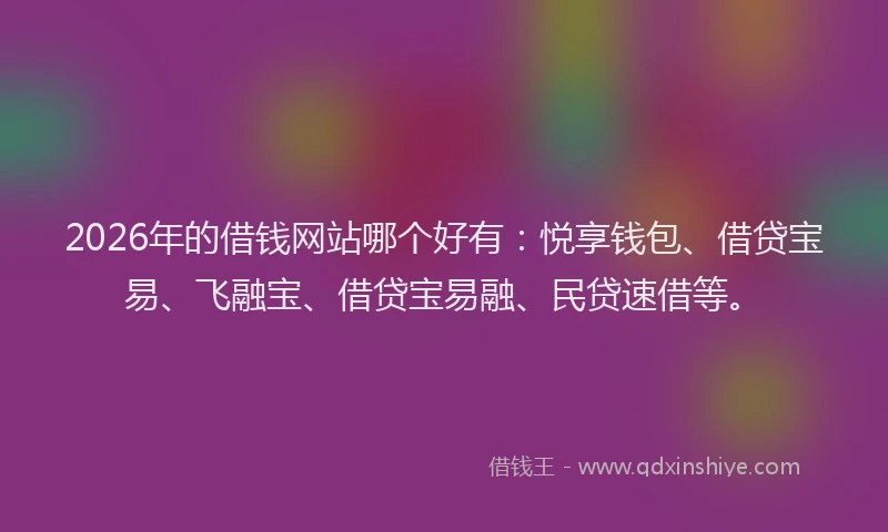 2026年的借钱网站哪个好有：悦享钱包、借贷宝易、飞融宝、借贷宝易融、民贷速借等。