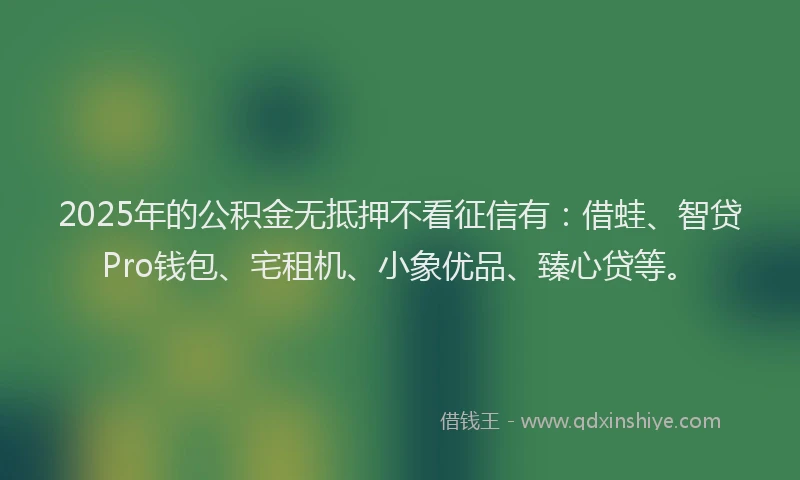 2025年的公积金无抵押不看征信有：借蛙、智贷Pro钱包、宅租机、小象优品、臻心贷等。