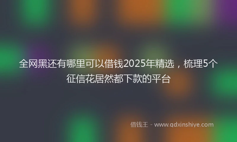 全网黑还有哪里可以借钱2025年精选，梳理5个征信花居然都下款的平台