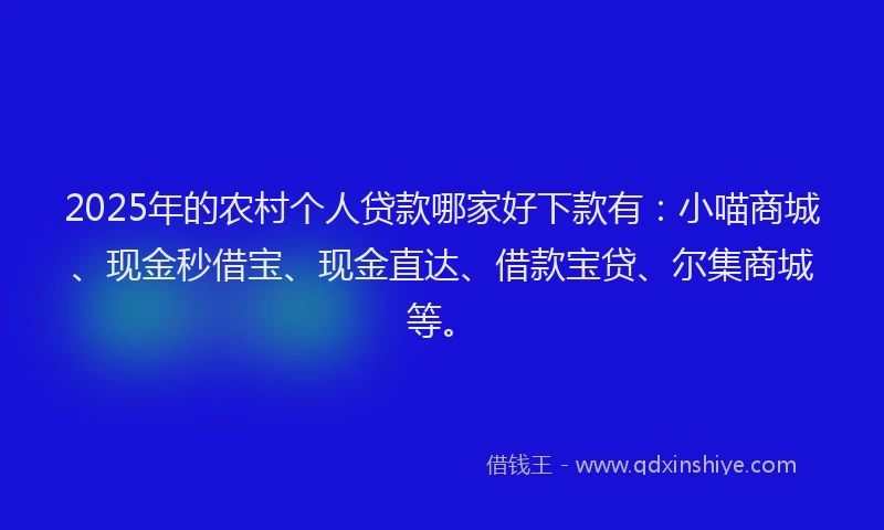 2025年的农村个人贷款哪家好下款有：小喵商城、现金秒借宝、现金直达、借款宝贷、尔集商城等。