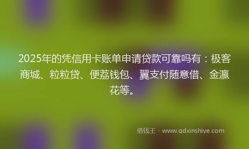 2025年的凭信用卡账单申请贷款可靠吗有：极客商城、粒粒贷、便荔钱包、翼支付随意借、金瀛花等。