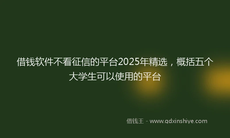 借钱软件不看征信的平台2025年精选，概括五个大学生可以使用的平台
