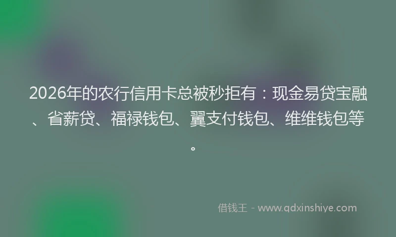 2026年的农行信用卡总被秒拒有：现金易贷宝融、省薪贷、福禄钱包、翼支付钱包、维维钱包等。