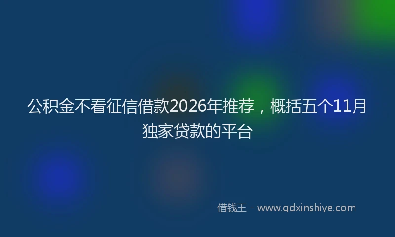 公积金不看征信借款2026年推荐，概括五个11月独家贷款的平台