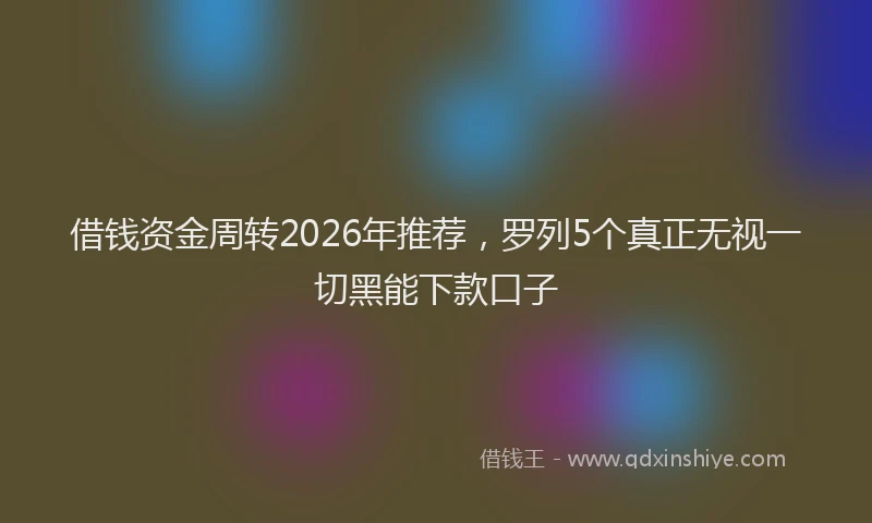 借钱资金周转2026年推荐，罗列5个真正无视一切黑能下款口子