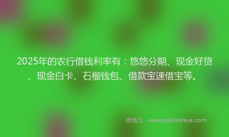 2025年的农行借钱利率有:悠悠分期、现金好贷、现金白卡、石榴钱包、借款宝速借宝等。