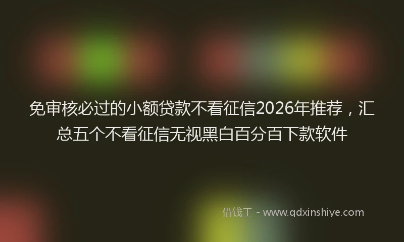 免审核必过的小额贷款不看征信2026年推荐，汇总五个不看征信无视黑白百分百下款软件