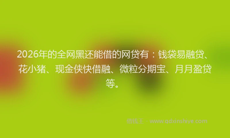 2026年的全网黑还能借的网贷有：钱袋易融贷、花小猪、现金侠快借融、微粒分期宝、月月盈贷等。