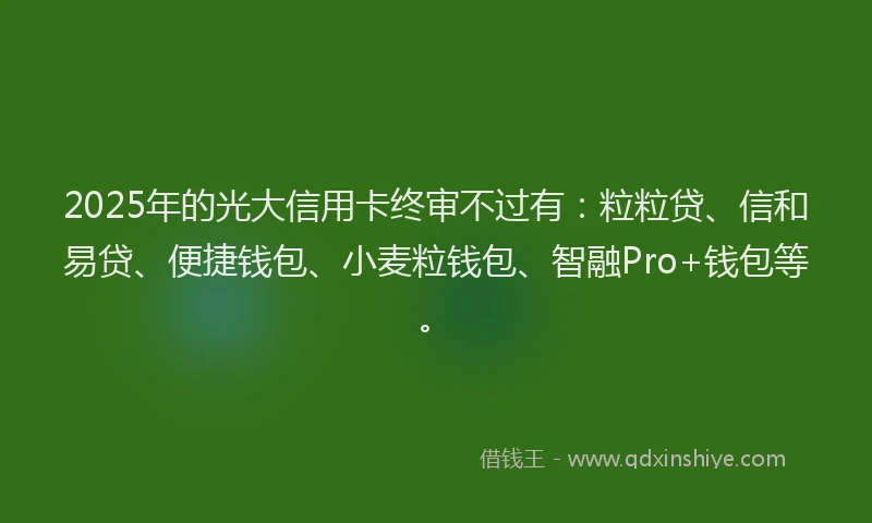 2025年的光大信用卡终审不过有：粒粒贷、信和易贷、便捷钱包、小麦粒钱包、智融Pro+钱包等。