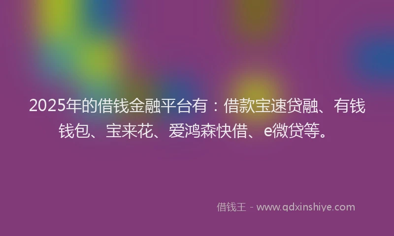 2025年的借钱金融平台有:借款宝速贷融、有钱钱包、宝来花、爱鸿森快借、e微贷等。