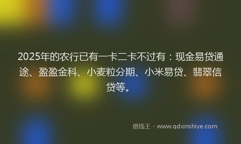 2025年的农行已有一卡二卡不过有：现金易贷通途、盈盈金科、小麦粒分期、小米易贷、翡翠信贷等。