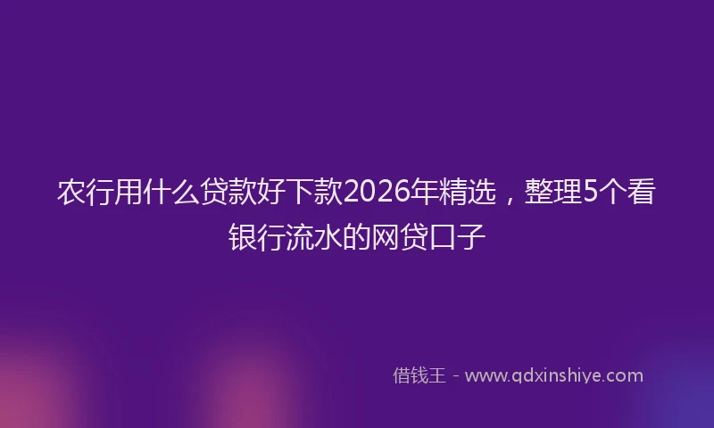 农行用什么贷款好下款2026年精选，整理5个看银行流水的网贷口子