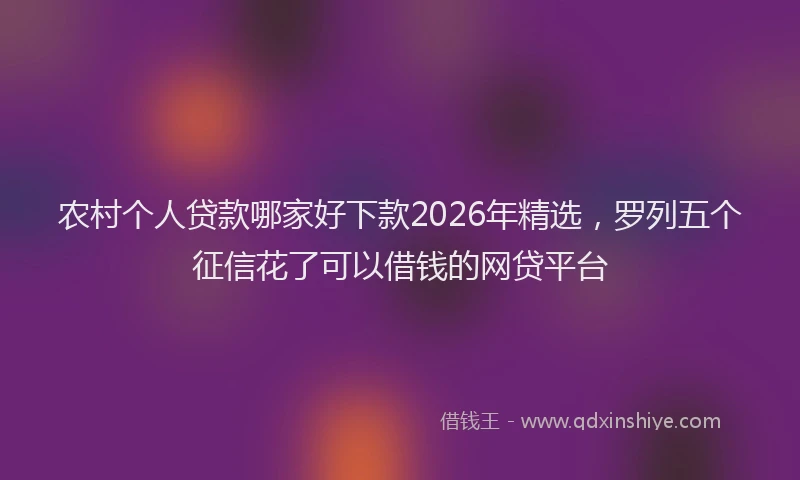 农村个人贷款哪家好下款2026年精选，罗列五个征信花了可以借钱的网贷平台