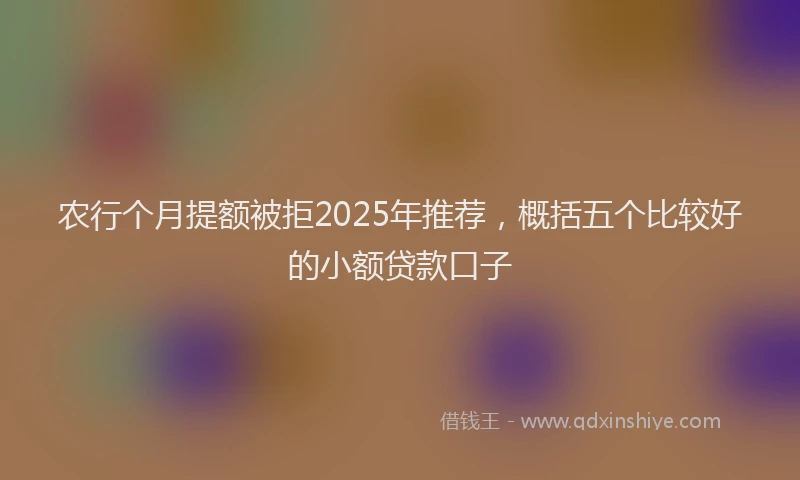 农行个月提额被拒2025年推荐，概括五个比较好的小额贷款口子