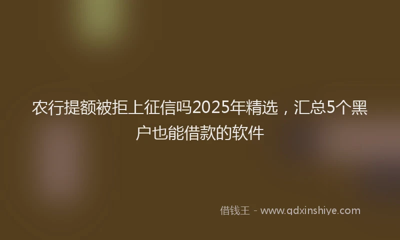 农行提额被拒上征信吗2025年精选，汇总5个黑户也能借款的软件