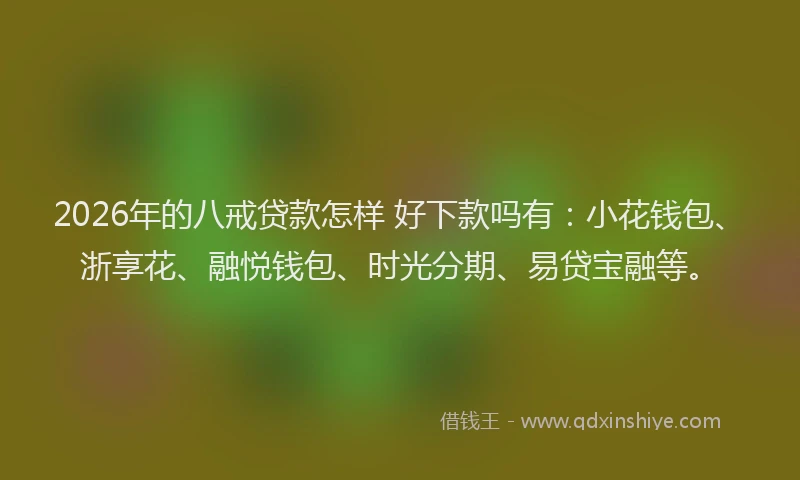 2026年的八戒贷款怎样 好下款吗有:小花钱包、浙享花、融悦钱包、时光分期、易贷宝融等。