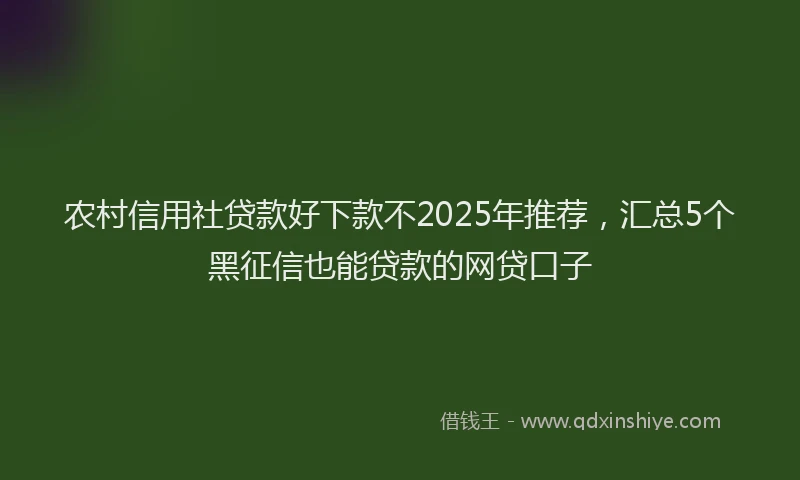 农村信用社贷款好下款不2025年推荐，汇总5个黑征信也能贷款的网贷口子