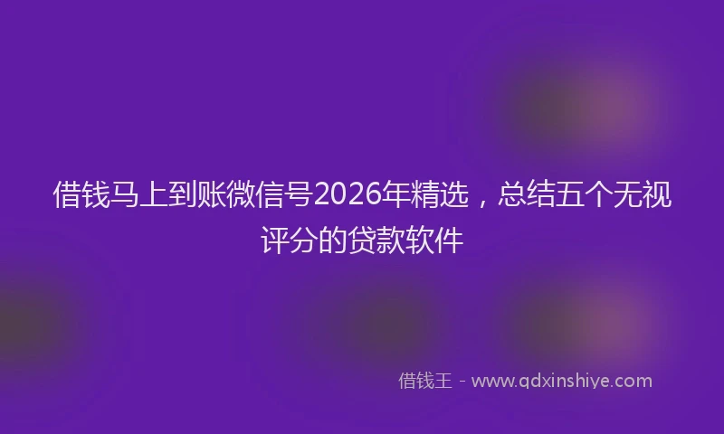 借钱马上到账微信号2026年精选，总结五个无视评分的贷款软件