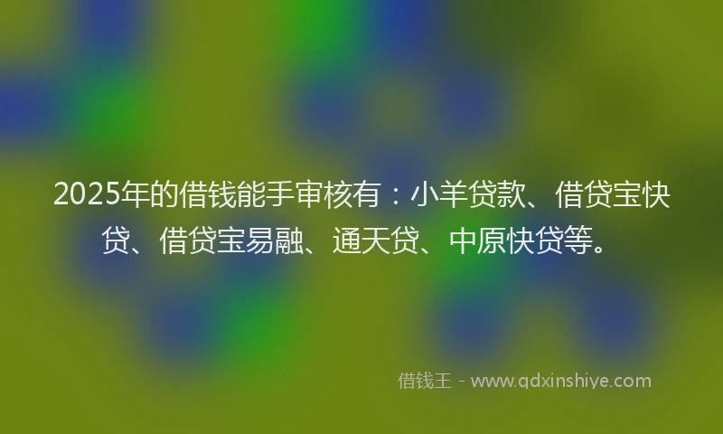 2025年的借钱能手审核有：小羊贷款、借贷宝快贷、借贷宝易融、通天贷、中原快贷等。