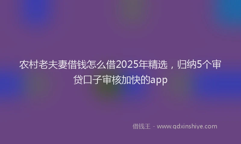 农村老夫妻借钱怎么借2025年精选,归纳5个审贷口子审核加快的app