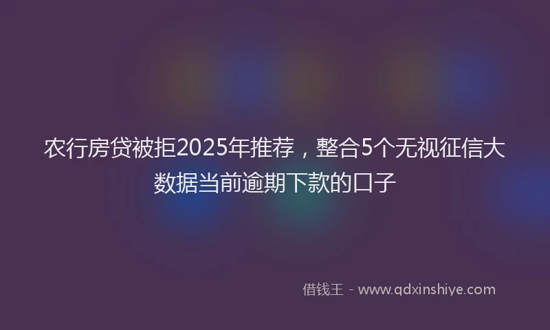 农行房贷被拒2025年推荐，整合5个无视征信大数据当前逾期下款的口子