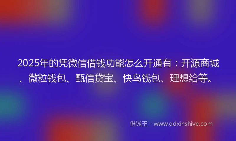2025年的凭微信借钱功能怎么开通有:开源商城、微粒钱包、甄信贷宝、快鸟钱包、理想给等。