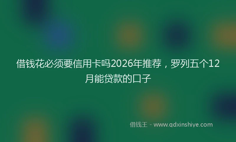 借钱花必须要信用卡吗2026年推荐，罗列五个12月能贷款的口子