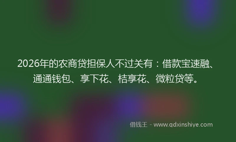 2026年的农商贷担保人不过关有:借款宝速融、通通钱包、享下花、桔享花、微粒贷等。