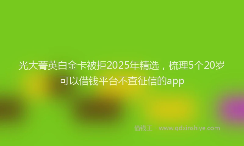 光大菁英白金卡被拒2025年精选,梳理5个20岁可以借钱平台不查征信的app