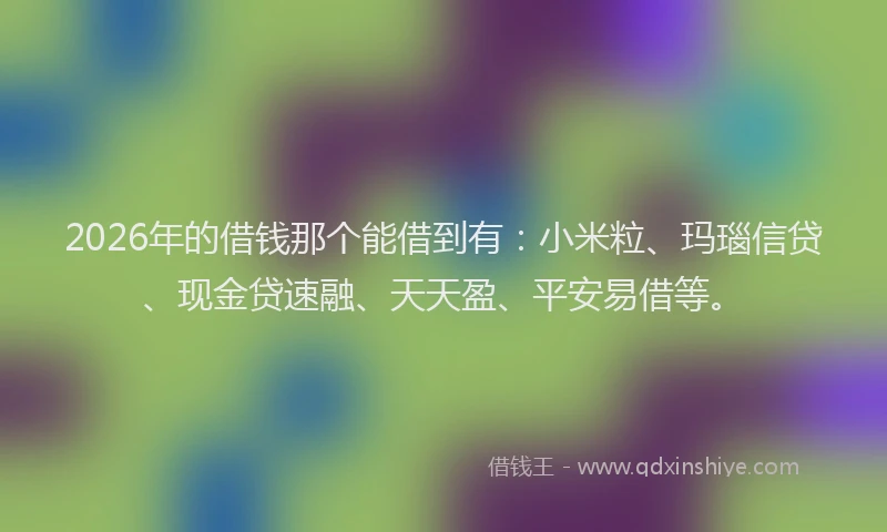 2026年的借钱那个能借到有：小米粒、玛瑙信贷、现金贷速融、天天盈、平安易借等。
