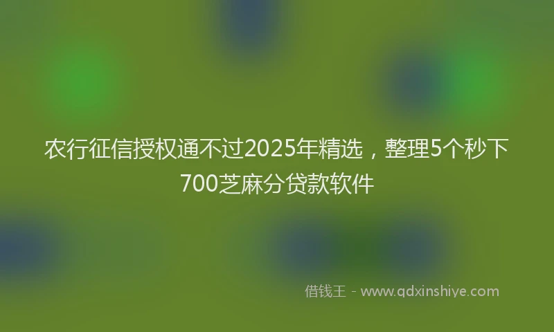 农行征信授权通不过2025年精选，整理5个秒下700芝麻分贷款软件