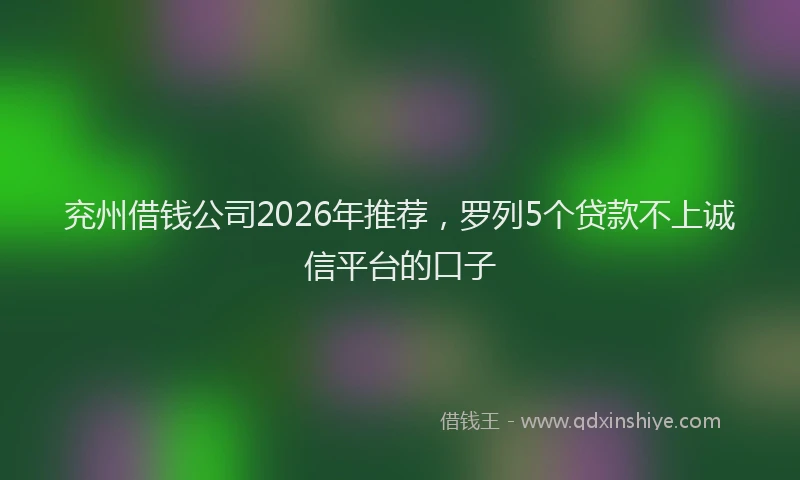 兖州借钱公司2026年推荐，罗列5个贷款不上诚信平台的口子