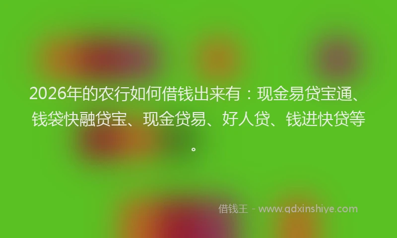 2026年的农行如何借钱出来有：现金易贷宝通、钱袋快融贷宝、现金贷易、好人贷、钱进快贷等。