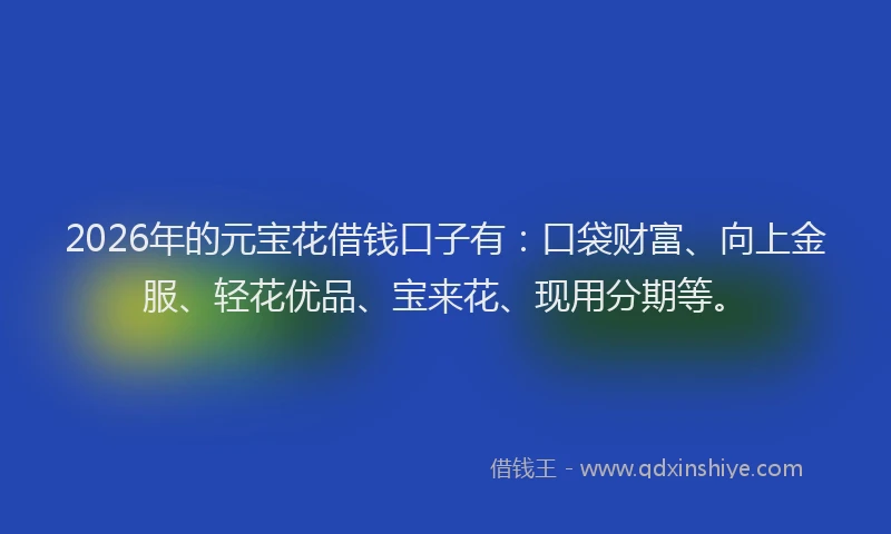 2026年的元宝花借钱口子有：口袋财富、向上金服、轻花优品、宝来花、现用分期等。