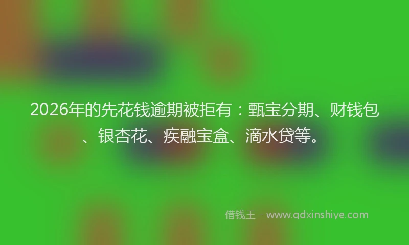 2026年的先花钱逾期被拒有:甄宝分期、财钱包、银杏花、疾融宝盒、滴水贷等。