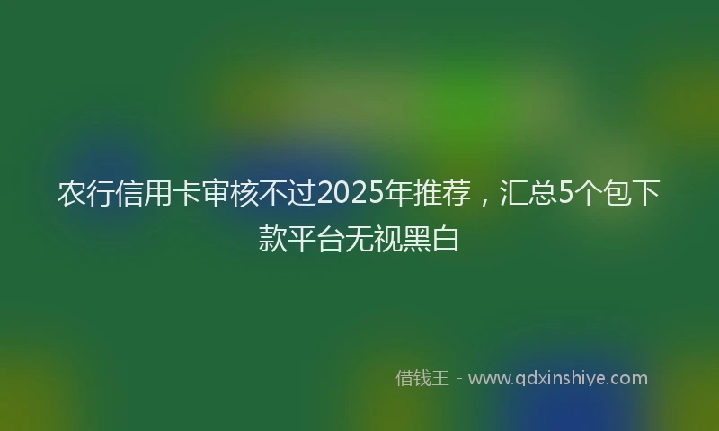 农行信用卡审核不过2025年推荐，汇总5个包下款平台无视黑白