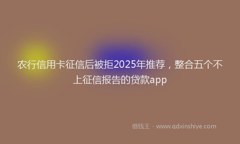 农行信用卡征信后被拒2025年推荐，整合五个不上征信报告的贷款app
