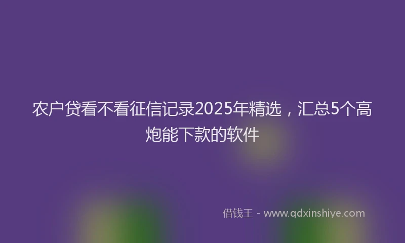 农户贷看不看征信记录2025年精选，汇总5个高炮能下款的软件