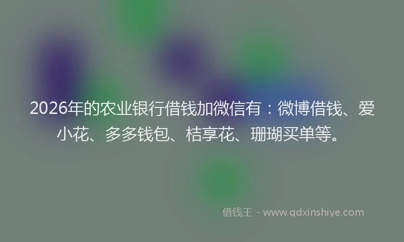 2026年的农业银行借钱加微信有:微博借钱、爱小花、多多钱包、桔享花、珊瑚买单等。
