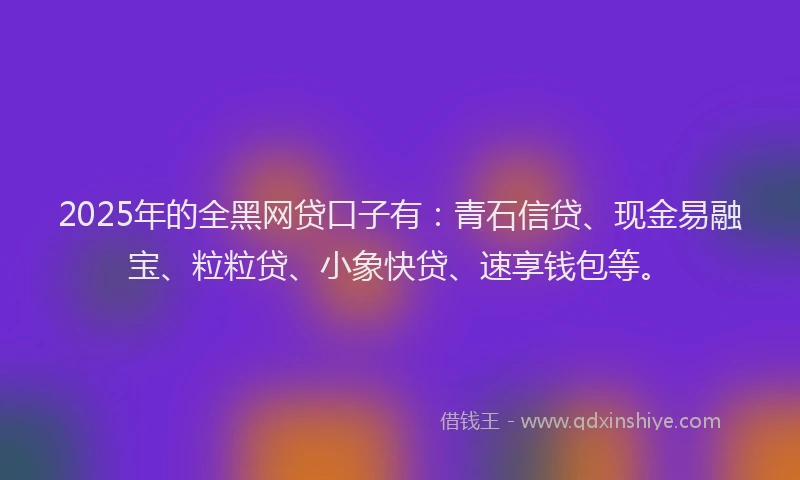 2025年的全黑网贷口子有：青石信贷、现金易融宝、粒粒贷、小象快贷、速享钱包等。