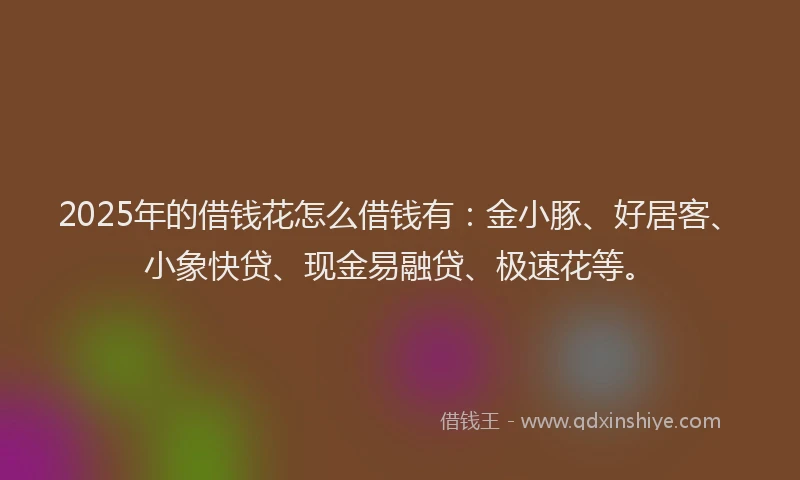 2025年的借钱花怎么借钱有：金小豚、好居客、小象快贷、现金易融贷、极速花等。