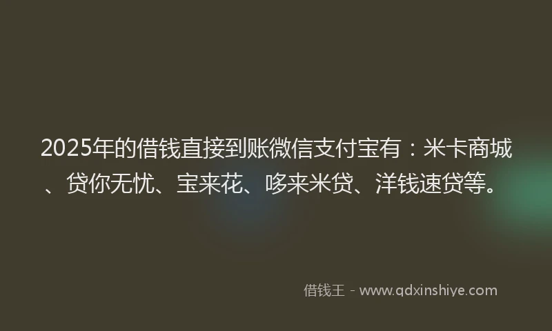 2025年的借钱直接到账微信支付宝有：米卡商城、贷你无忧、宝来花、哆来米贷、洋钱速贷等。