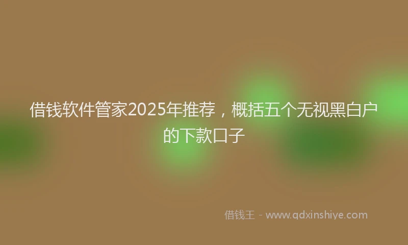 借钱软件管家2025年推荐,概括五个无视黑白户的下款口子