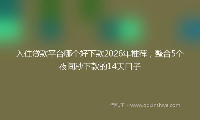 入住贷款平台哪个好下款2026年推荐，整合5个夜间秒下款的14天口子