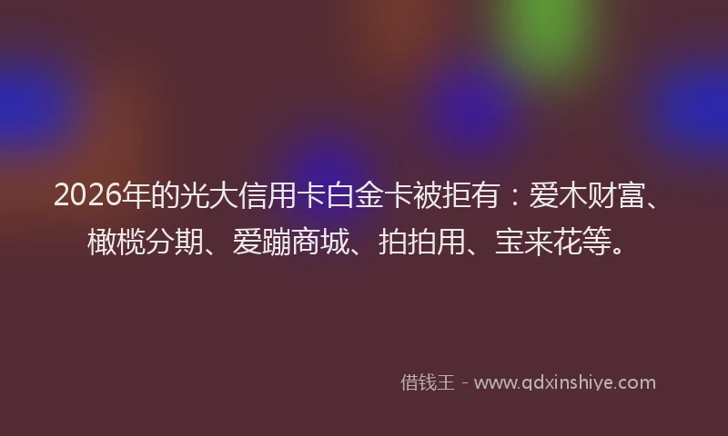 2026年的光大信用卡白金卡被拒有：爱木财富、橄榄分期、爱蹦商城、拍拍用、宝来花等。