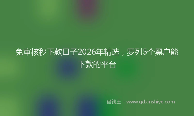 免审核秒下款口子2026年精选,罗列5个黑户能下款的平台